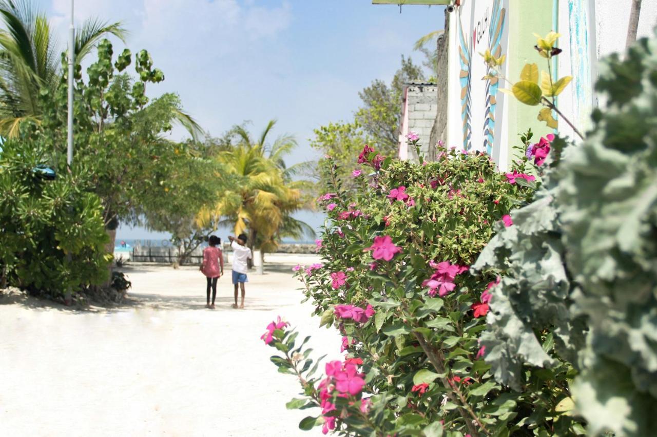 Walk Maldives Affittacamere *