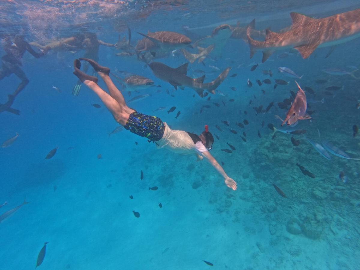 Affittacamere Walk Maldives Gulhi