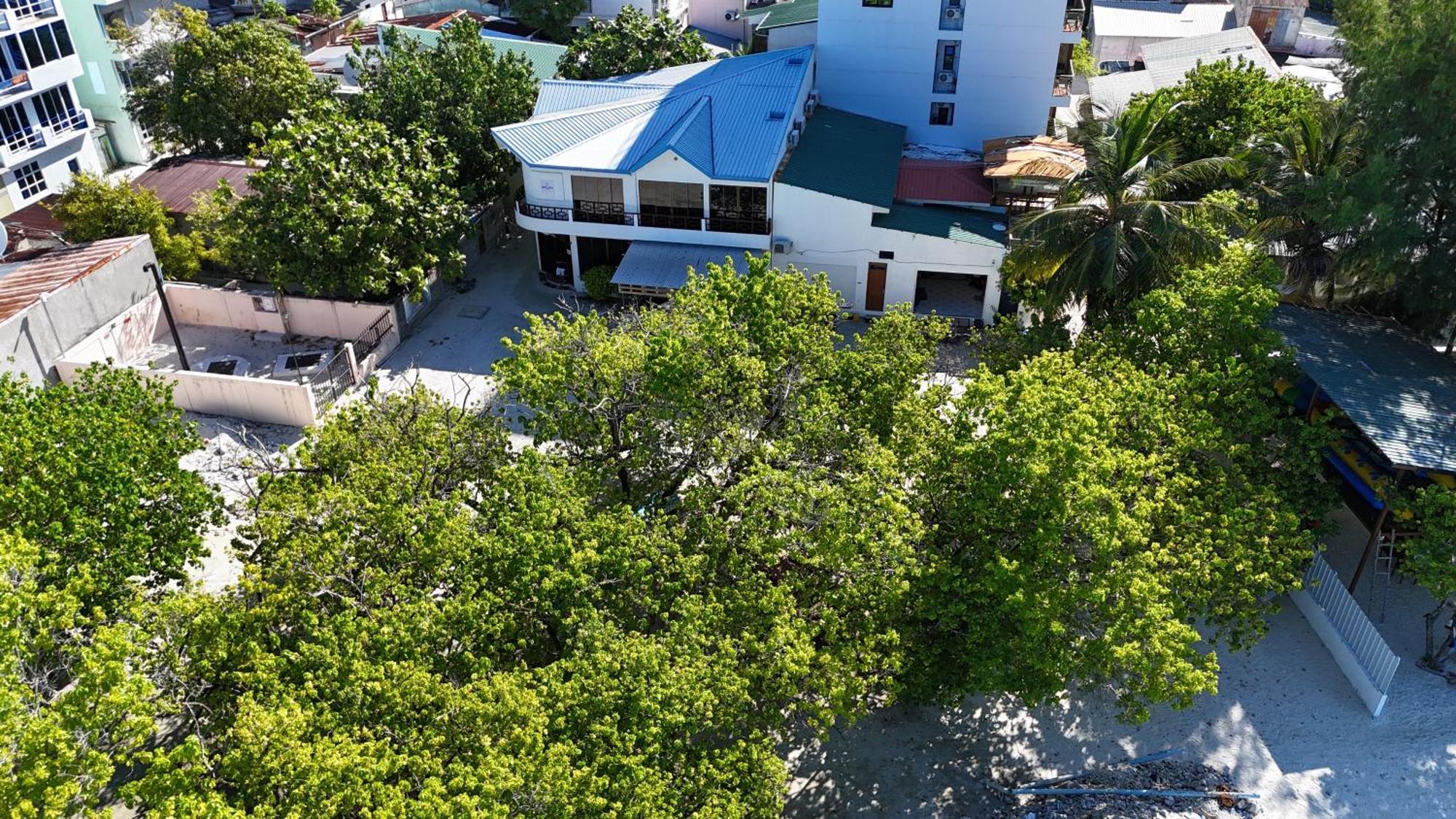 Walk Maldives Gulhi